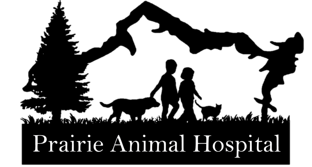 https://prairieanimalhospital.com/wp-content/uploads/2018/03/cropped-Transparent-Logo-7.png