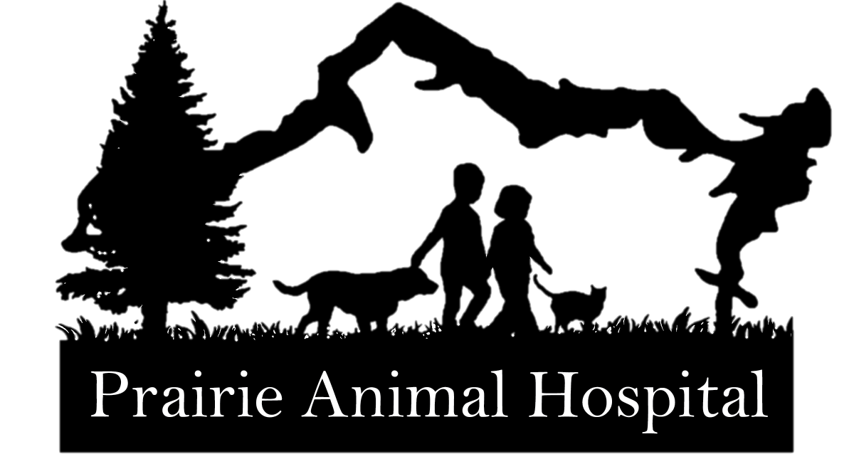 https://prairieanimalhospital.com/wp-content/uploads/2018/03/cropped-Transparent-Logo-7.png